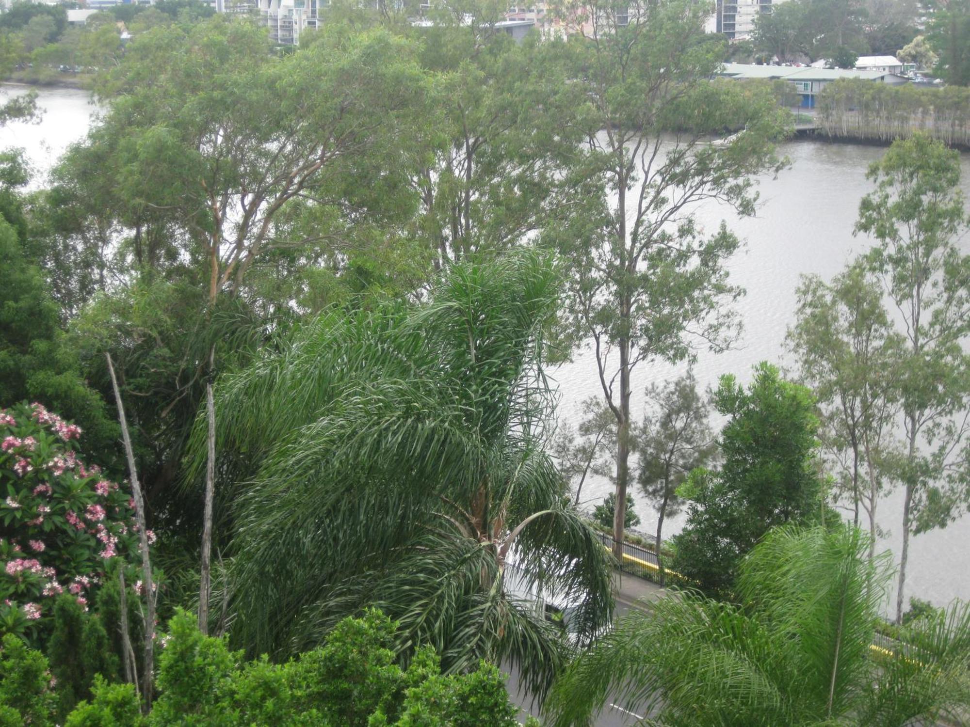 Fairthorpe Apartments Brisbane Eksteriør bilde